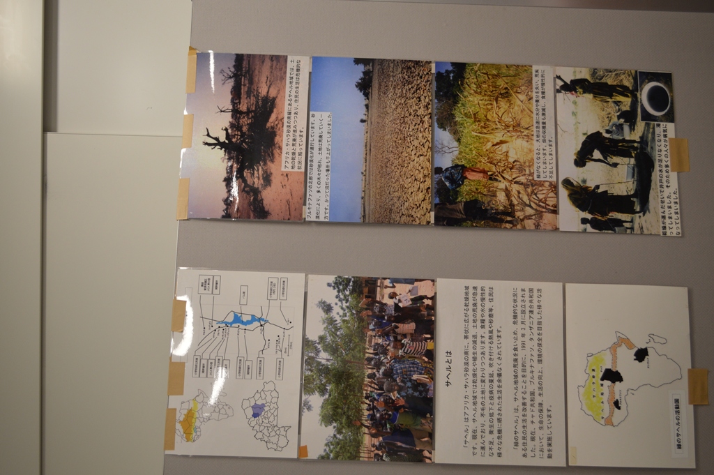 緑のサヘルのパネル